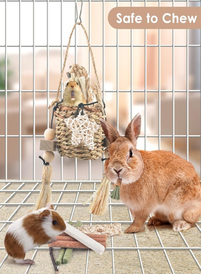 Bissap Bunny Chew Toys, Natural Seagrass Hanging Basket Chews Water Plant Woven Chinchillas Chewing Treats for Rabbits Guinea Pigs Chinchillas Hamsters Rats and Other Small Pets Teeth Grinding Toy - Image 3